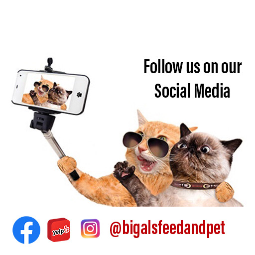 Pet Supply Store «Red Barn Feed Also», reviews and photos, 10142 Balboa Blvd, Granada Hills, CA 91344, USA