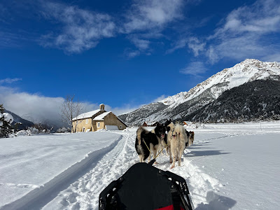 CHIENS DE TRAINEAU LA TRIBU RANDO QUADBIKE à Névache