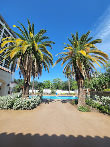 Hotel «Palm Beach Gardens Marriott», reviews and photos, 4000 Rca Blvd, Palm Beach Gardens, FL 33410, USA