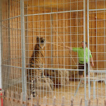 Photo n°1 de l'avis de Patrick. fait le 03/08/2020 à 07:37 sur le  Tier-Erlebnispark Bell à Bell