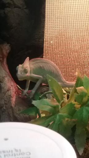 Pet Supply Store «Pet Supplies Plus», reviews and photos, 1262 OH-303, Streetsboro, OH 44241, USA