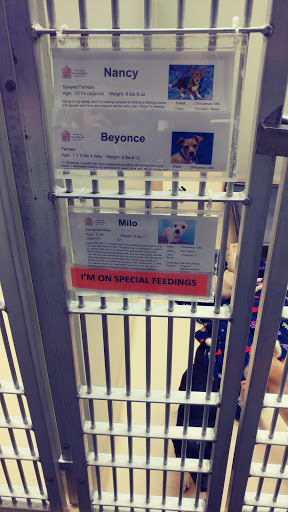 Animal Shelter «Oregon Humane Society», reviews and photos