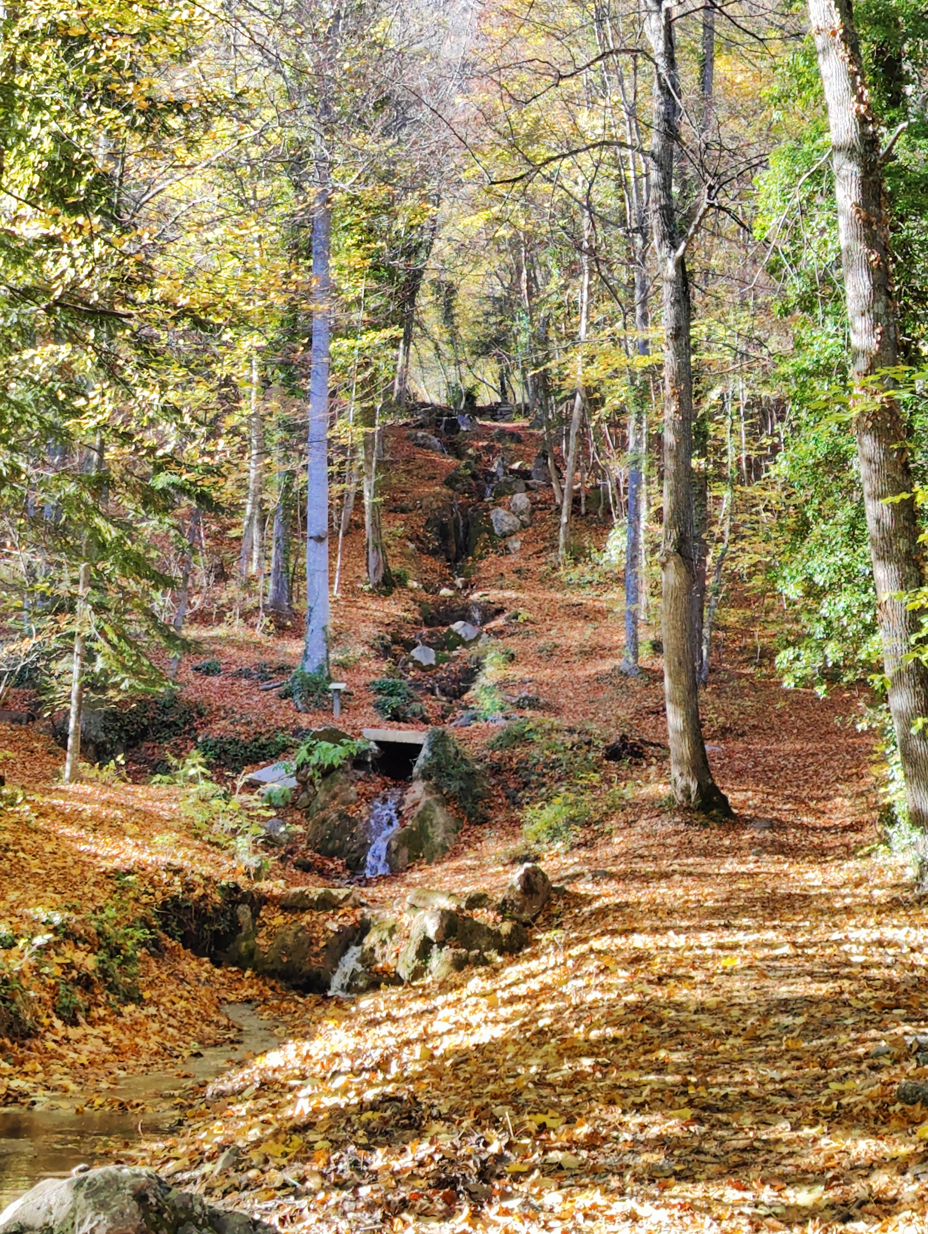Photo n° 5 de l'avis de Nicolas.a fait le 05/11/2022 à 15:54