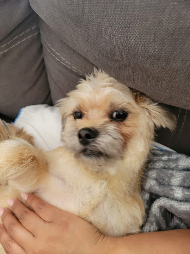 Pet Supply Store «Petco Animal Supplies», reviews and photos, 1 US-46, Totowa, NJ 07512, USA