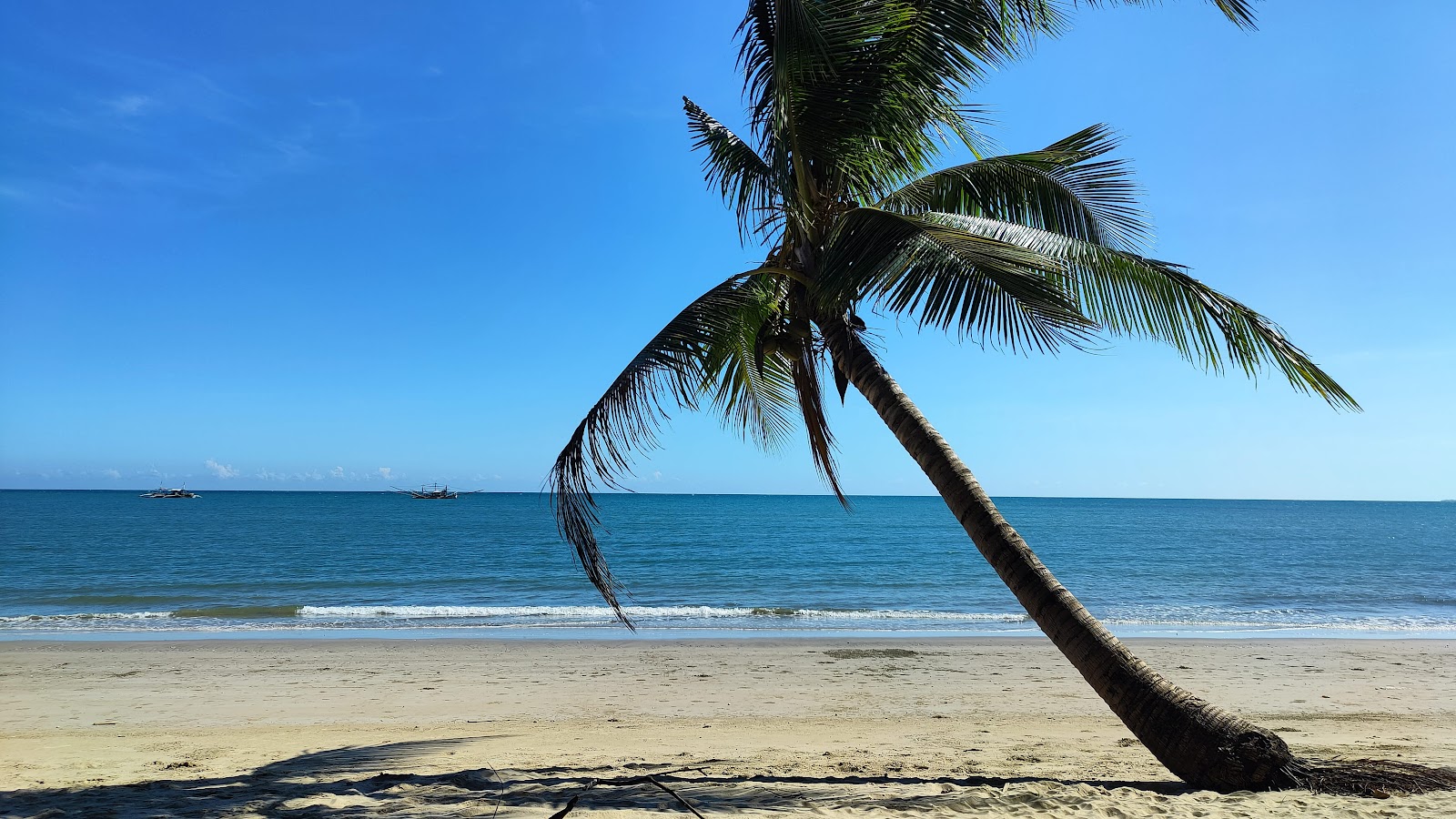 Foto de Sea Eagle Beach con arena fina beige superficie