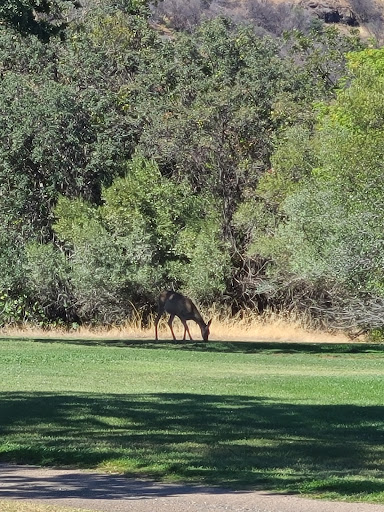 Public Golf Course «Bidwell Park Golf Course», reviews and photos, Golf Course Rd, Chico, CA 95973, USA