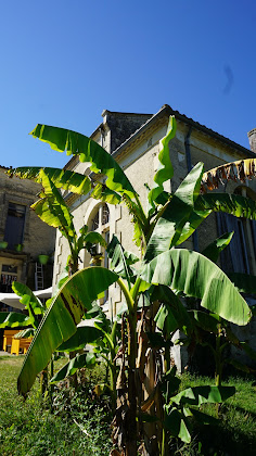 Photos du propriétaire Chambre d'hôtes La Vieille Ecole 47410 Bourgougnague