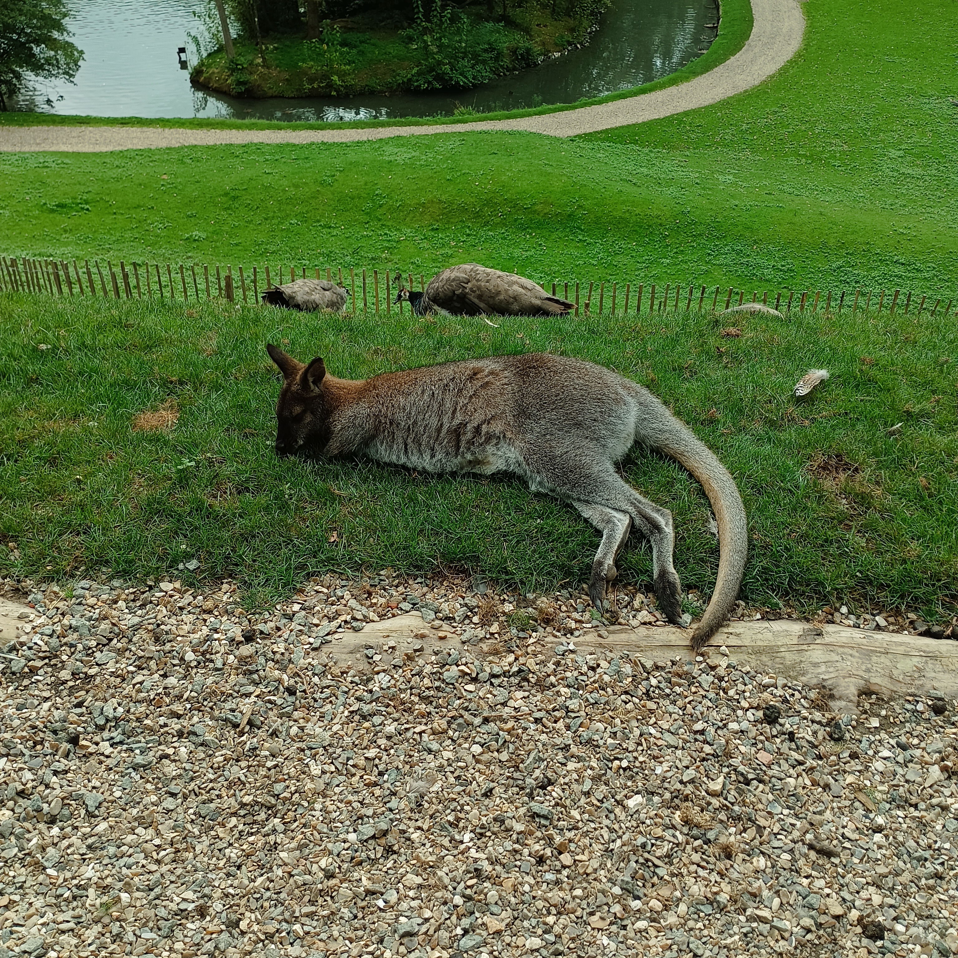 Photo n° 1 de l'avis de Carole.l fait le 17/09/2023 à 12:43