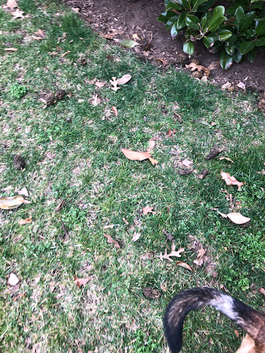 Park «Long Bridge Park», reviews and photos, 475 Long Bridge Drive, Arlington, VA 22202, USA