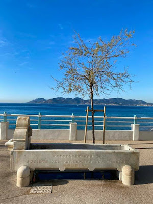 Azur Plage Home rental Cannes à Cannes
