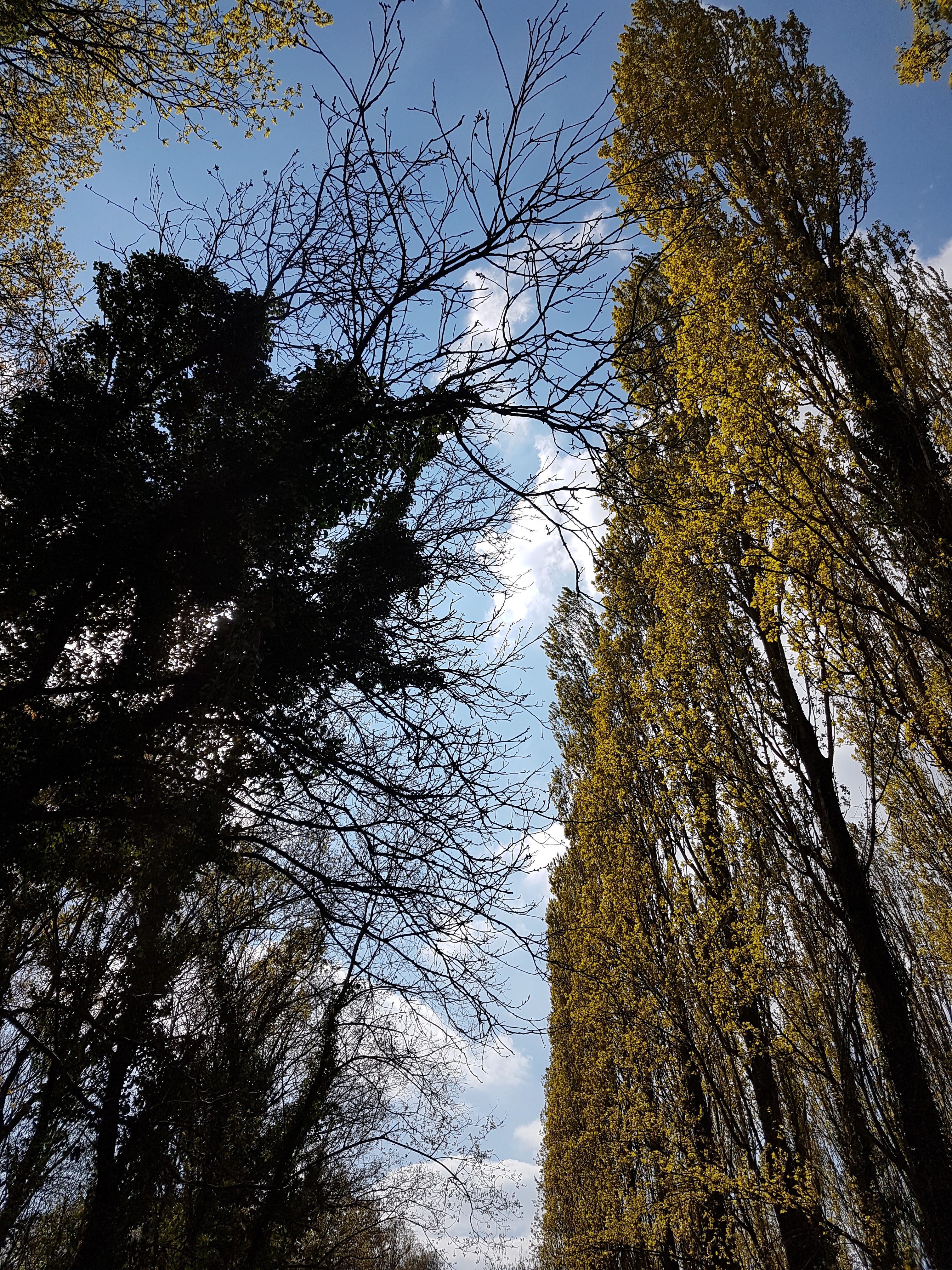 Photo n° 7 de l'avis de flo.i fait le 13/04/2019 à 15:54