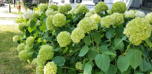 Liquor Store «Rhinebeck Wine & Liquor Store», reviews and photos, 41 E Market St # 1, Rhinebeck, NY 12572, USA