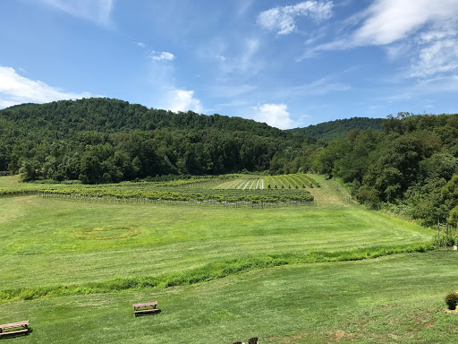 Winery «Loving Cup Vineyard & Winery», reviews and photos, 3340 Sutherland Rd, North Garden, VA 22959, USA