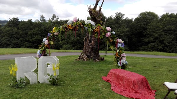 Imagen de Botania Floristería (16 de 20)