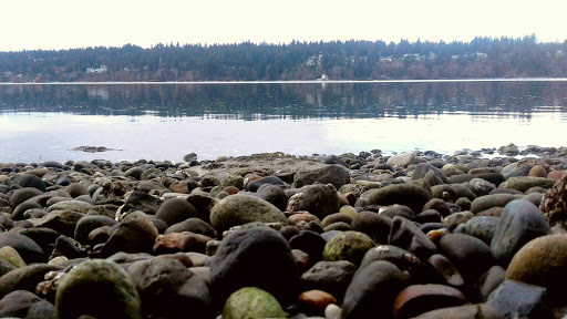 Nature Preserve «Gazzam Lake Nature Preserve», reviews and photos, 6105 NE Marshall Rd, Bainbridge Island, WA 98110, USA