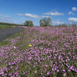 Photo n°2 de l'avis de Klaus.r fait le 06/05/2023 à 15:54 sur le  Gaststätte Oderblick à Neißemünde