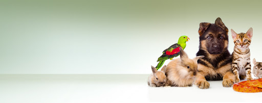 896 Hathaway Rd, New Bedford, MA 02740, USA