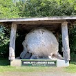 World’s Largest Burl