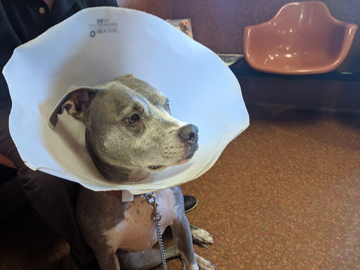 111 W Shields Ave, Fresno, CA 93705, USA