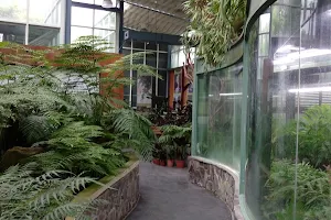 植物園特展室 image