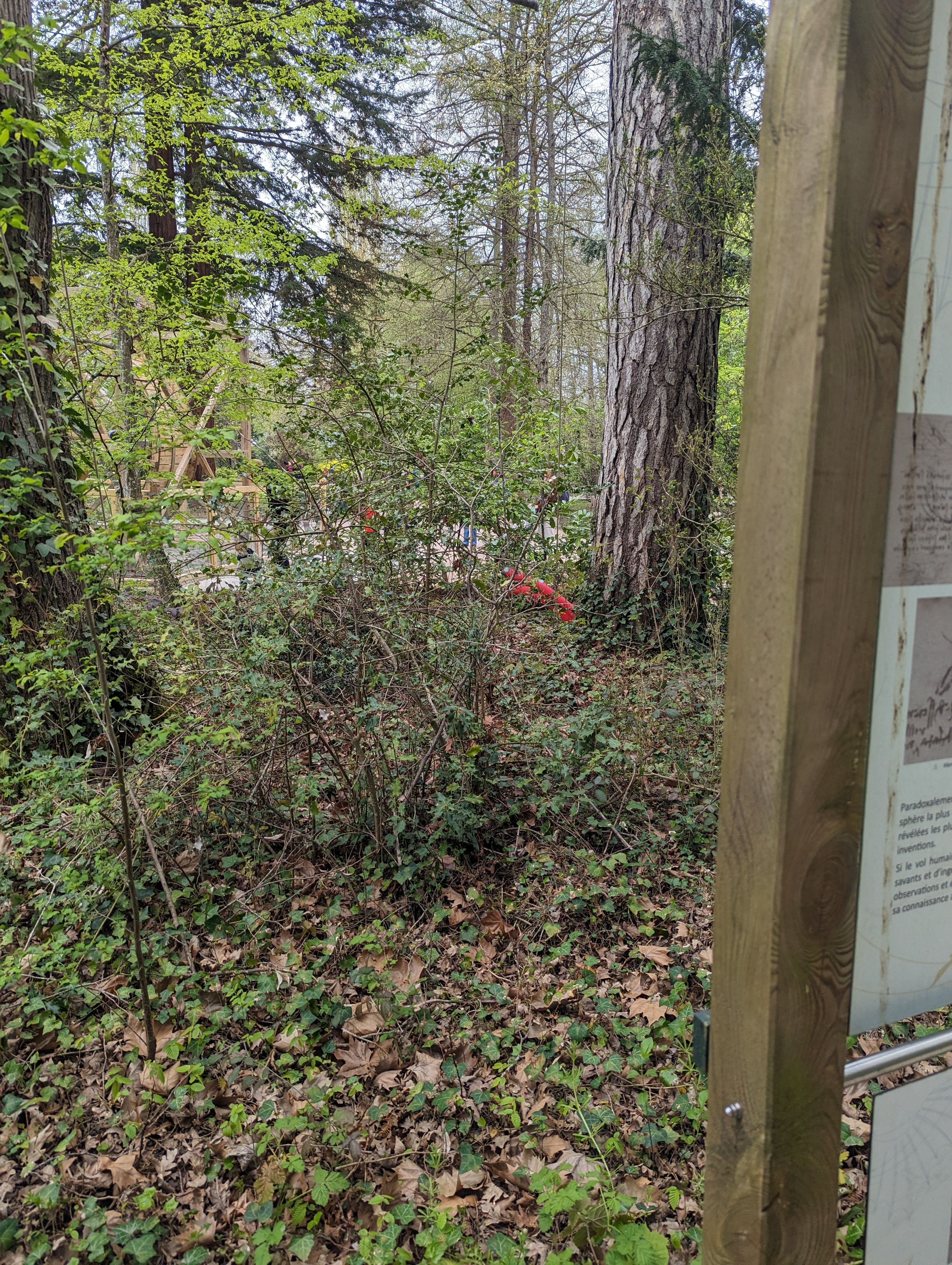 Photo n° 9 de l'avis de Emilie.o fait le 18/04/2023 à 15:47