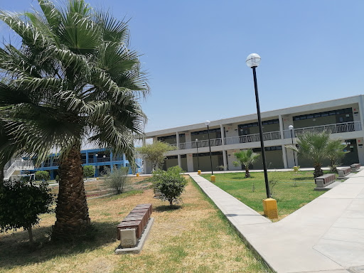 Universidad pública Ica