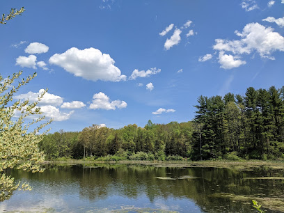 Shadow Lake