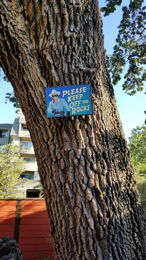 Barbecue Restaurant «Back Forty», reviews and photos, 100 Coggins Dr, Pleasant Hill, CA 94523, USA