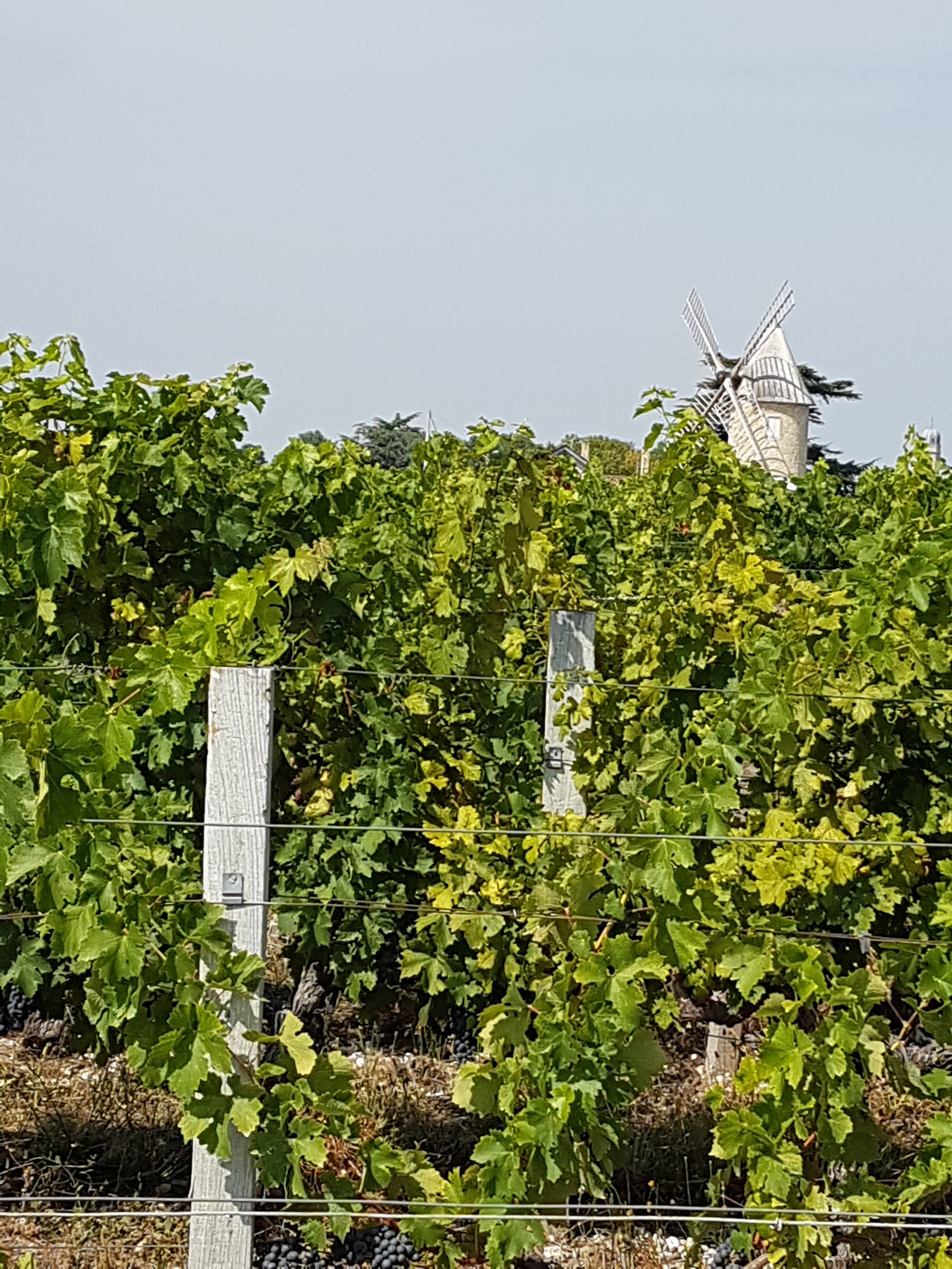 Photo n° 1 de l'avis de Jérôme.i fait le 26/08/2017 à 15:24