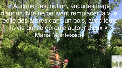 Forest school Montessori le petit abri - Ecole Montessori bilingue Français -anglais