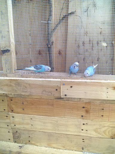 Used Book Store «Books-N-Things», reviews and photos, 523 N 1st St, Harlingen, TX 78550, USA