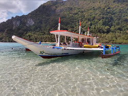 Foto von Bakal Island wilde gegend