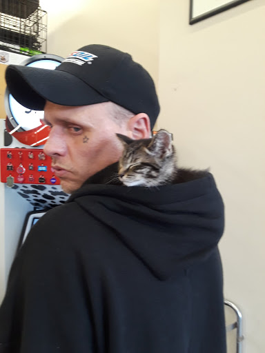 Pet Supply Store «Pet Supplies Plus», reviews and photos, 22124 Ecorse Rd, Taylor, MI 48180, USA