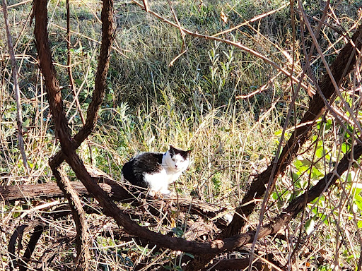 Park «Anderson River Park», reviews and photos