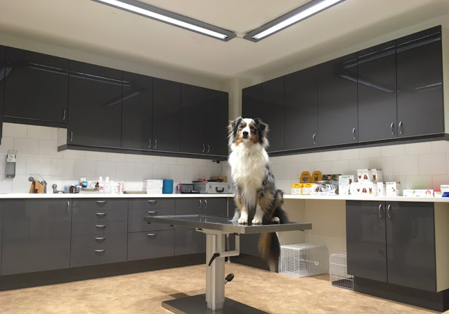 Tierarztpraxis Handke + Frei - Tierarzt