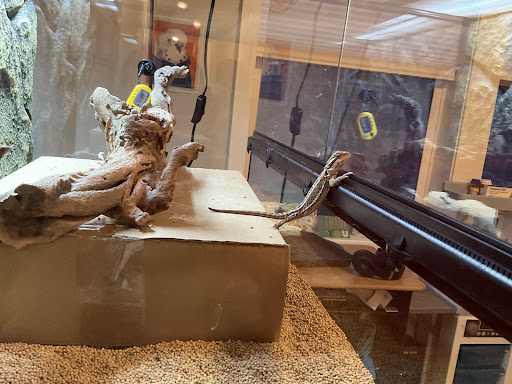 Pet Store «Critter Cabana», reviews and photos, 516 E 1st St, Newberg, OR 97132, USA