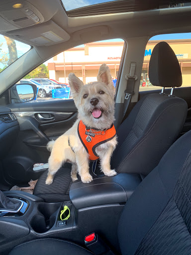 Pet Supply Store «PetSmart», reviews and photos, 350 Walt Whitman Rd, Huntington Station, NY 11746, USA