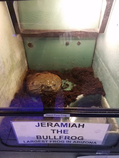 Pet Store «CUSTOM CREATURES PET SHOP», reviews and photos, 10727 N 19th Ave, Phoenix, AZ 85029, USA