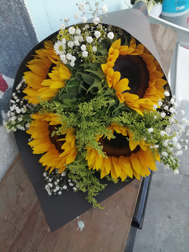 Floreria De Jesus – Tampico