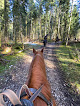 Ranch de la seignette Malbuisson