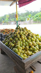 Compra venta de cítricos, frutas en general