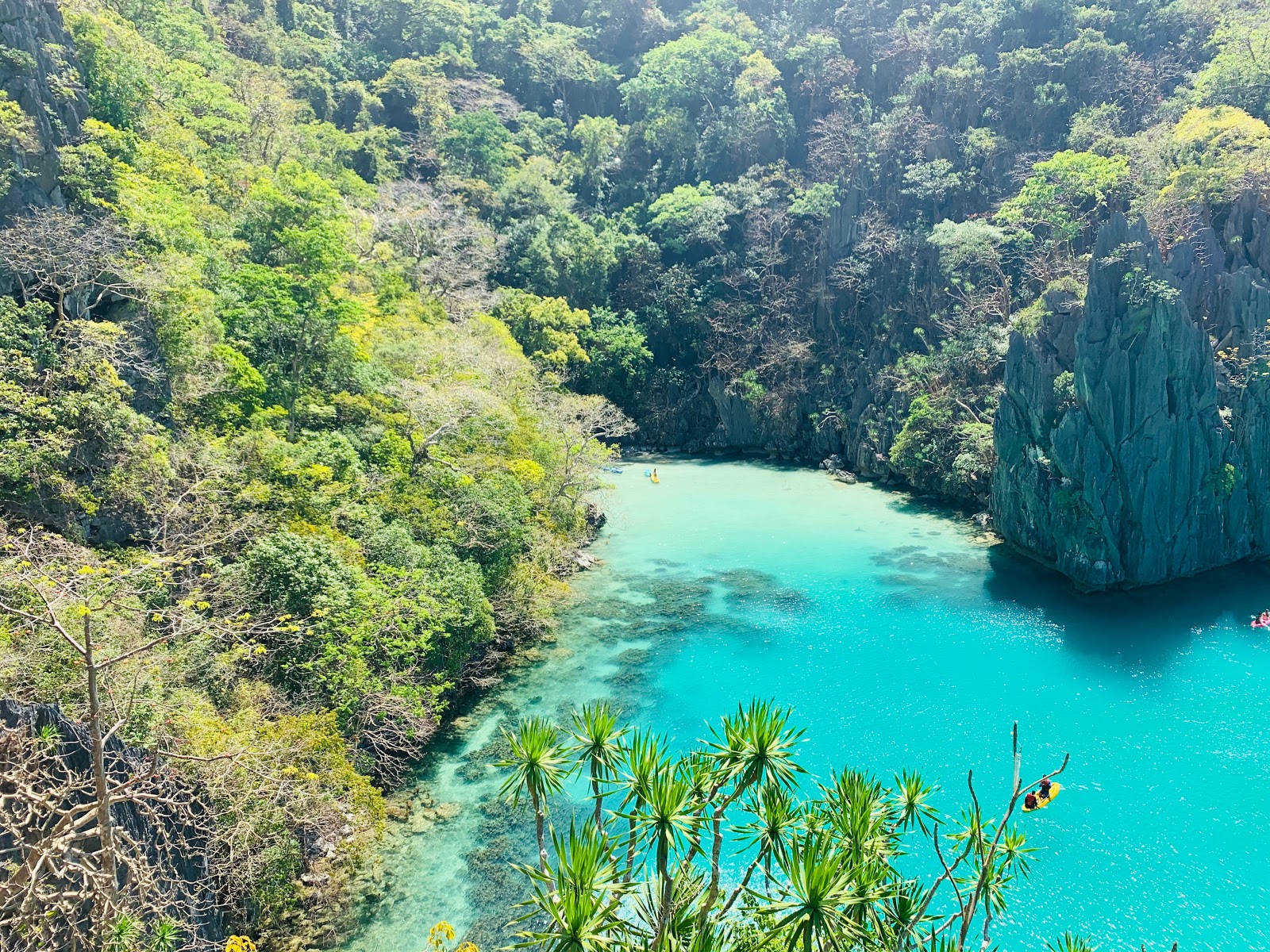 Foto di Cadlao Lagoon con baia piccola