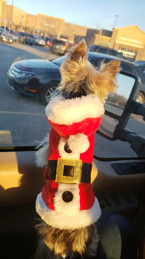 Pet Supply Store «Petco Animal Supplies», reviews and photos, 990 Brook Forest Ave, Shorewood, IL 60431, USA