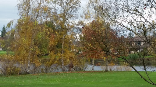 Private Golf Course «Michelbook Country Club», reviews and photos, 1301 NW Michelbook Ln, McMinnville, OR 97128, USA