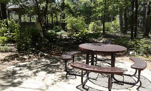 South Arkansas Arboretum - photo 18