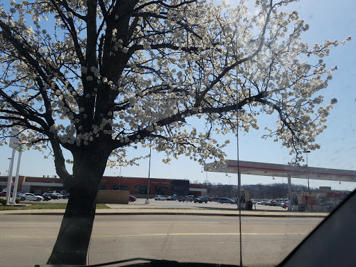 Grocery Store «Schnucks», reviews and photos, 1181 W Gannon Dr, Festus, MO 63028, USA