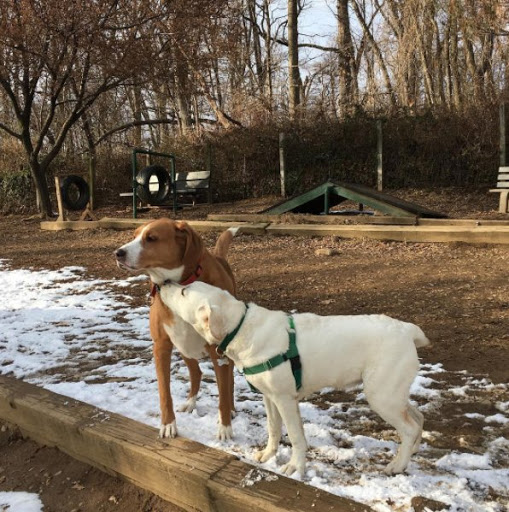 Dog Park «Forest Park Dog Run», reviews and photos, 8445 Park Ln S, Woodhaven, NY 11421, USA