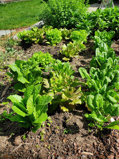 Produce Market «Smith Farm», reviews and photos, 131 Kimball Hill Rd, Hudson, NH 03051, USA