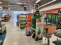 Petco - Photo 5 - Car repair in Spartanburg, SC, Spartanburg