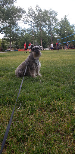 Park «Platt Park Recreation Center», reviews and photos, 1500 S Grant St, Denver, CO 80210, USA